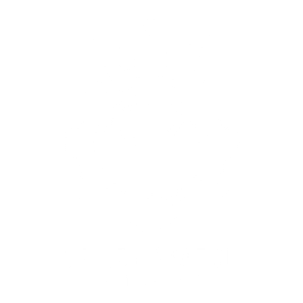 Crazy Watch